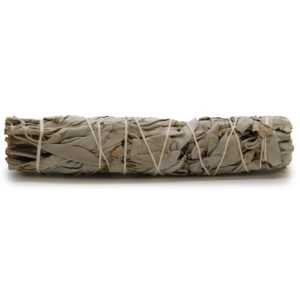 Grass Bundle - Sage White 15cm