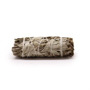 Grass Bundle - White Sage and Pirul Foliage
